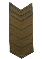 Шеврон по годам службы (годовка) 22 года службы (выслуги лет), 6х14 см Шеврон по годам службы (годовка) 22 года службы (выслуги лет), 6х14 см