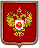 Герб Минздравсоцразвития РФ 53х61 см, печатный, рамка светлое дерево